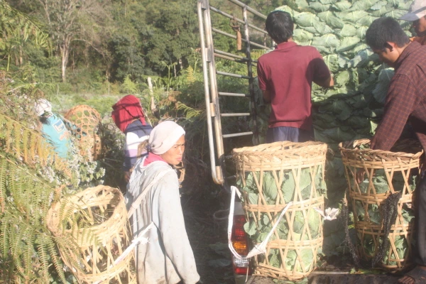 몽족, 깔리양,저서용매일신문2.JPG