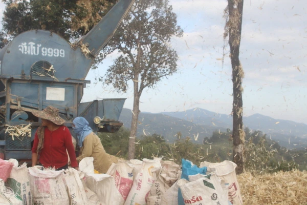 몽족, 깔리양,저서용매일신문1.JPG