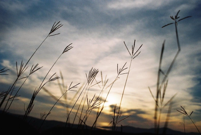 몬테네그로 코토르 1.JPG