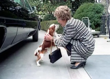 2017-03-21 02;53;08.JPG