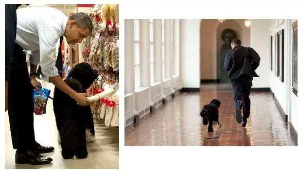 2017-03-21 02;49;12.JPG