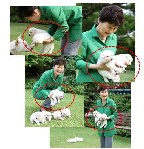 2017-03-21 02;33;47.JPG