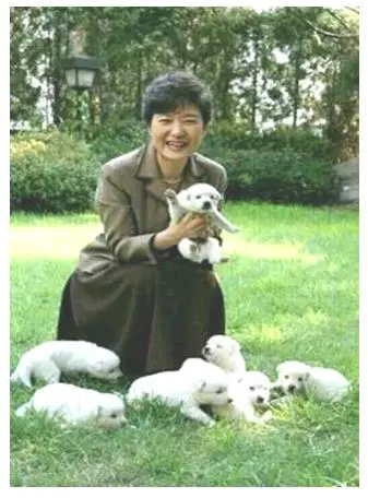 2017-03-21 02;37;17.JPG