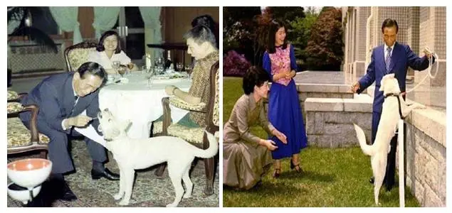 2017-03-21 02;45;41.JPG