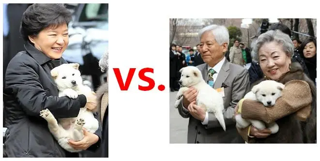 2017-03-21 02;41;16.JPG