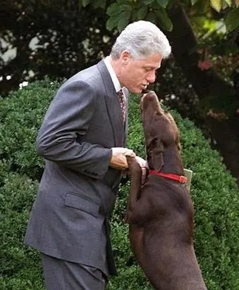 2017-03-21 02;52;10.JPG