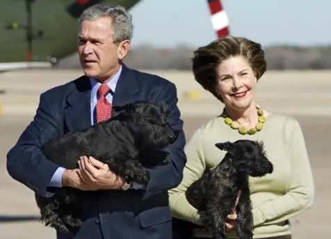 2017-03-21 02;51;13.JPG