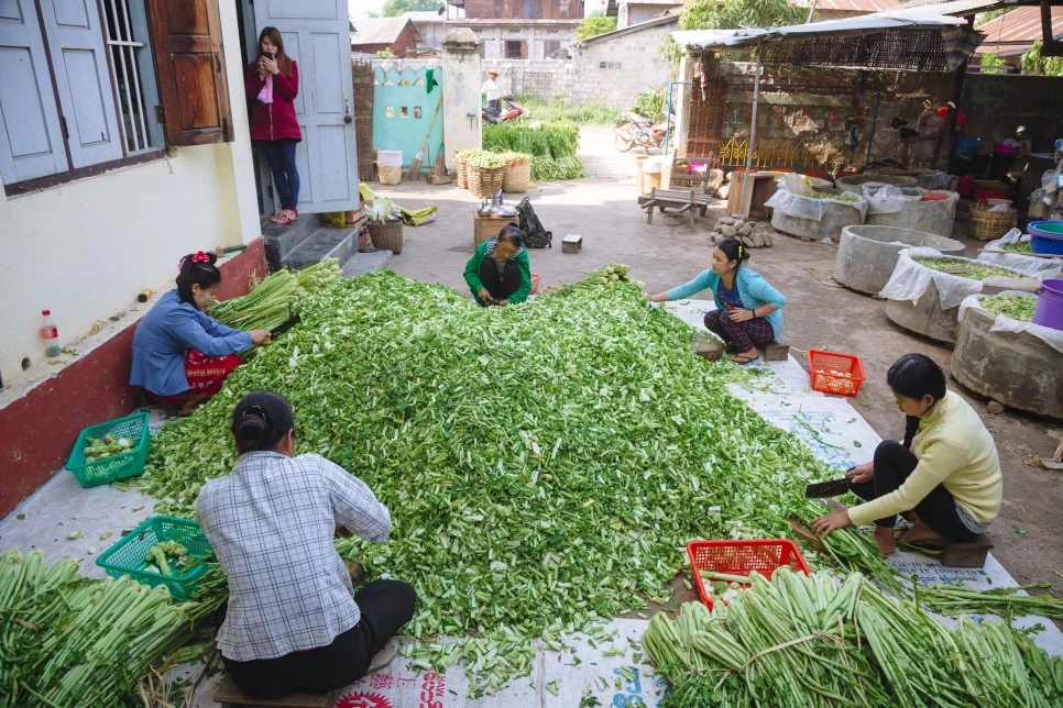 IMG_2036.jpg?type=w966