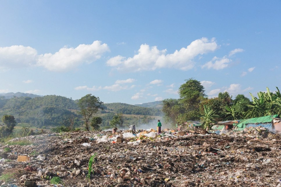 IMG_0832.jpg?type=w966