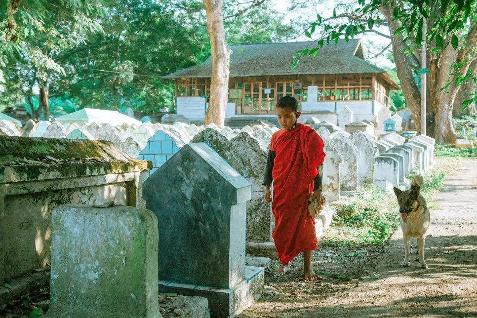 IMG_0976.jpg?type=w966