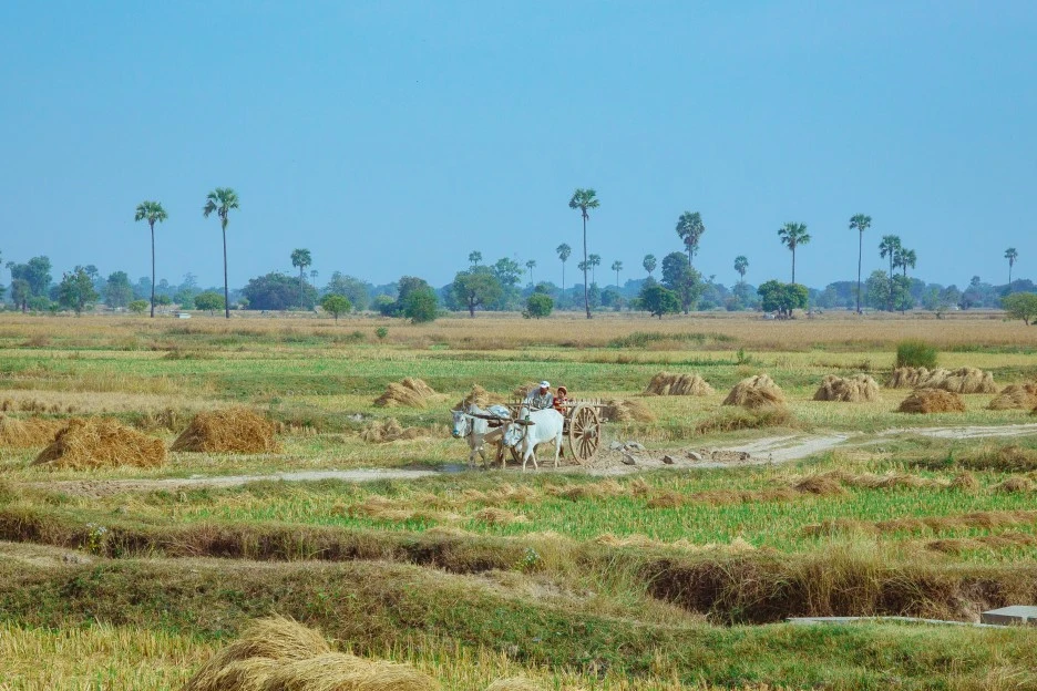 Partner_5.jpg?type=w1