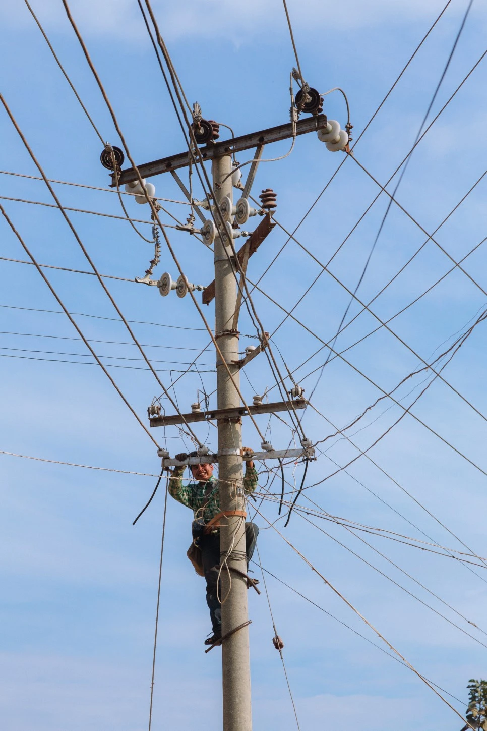 IMG_2487.jpg?type=w966