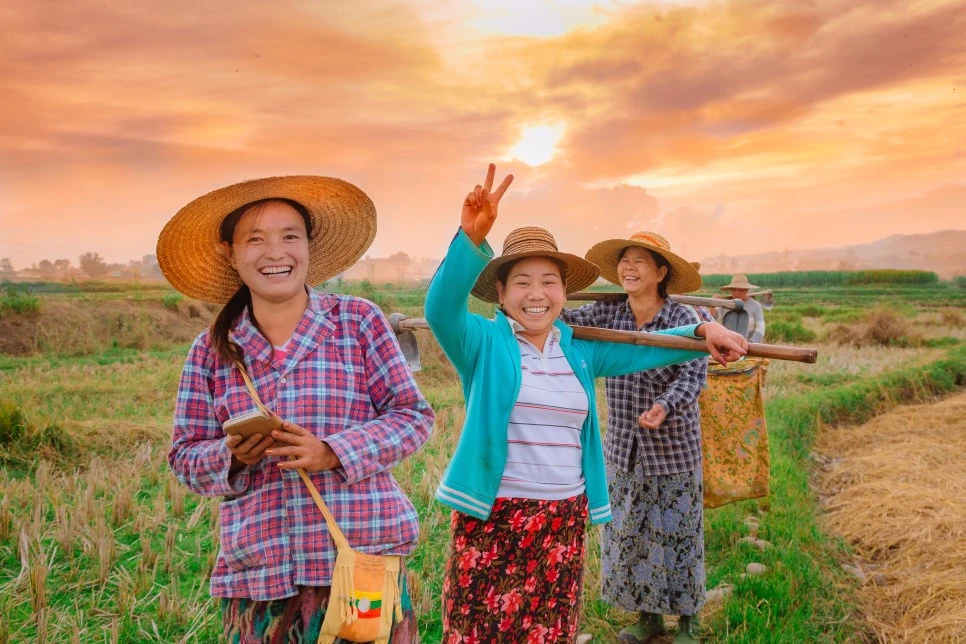 IMG_4534.jpg?type=w966