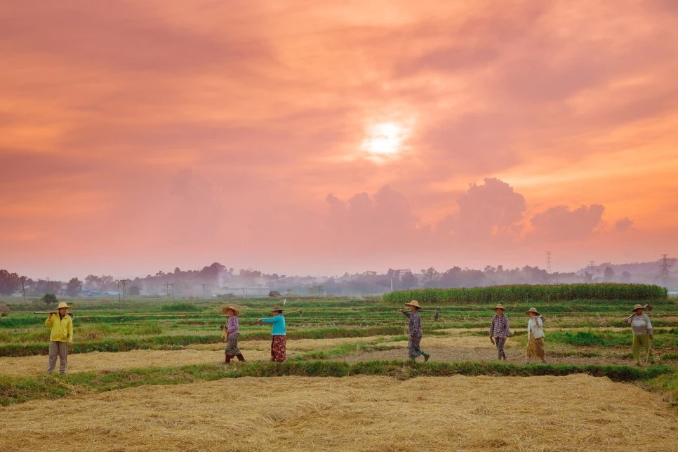 IMG_4521.jpg?type=w966