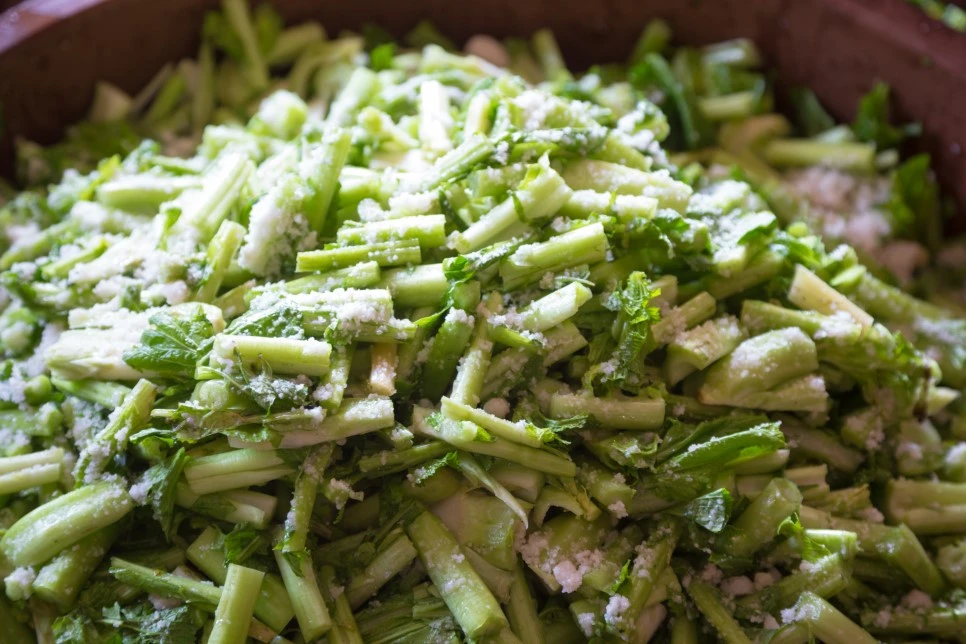 IMG_5566.jpg?type=w966