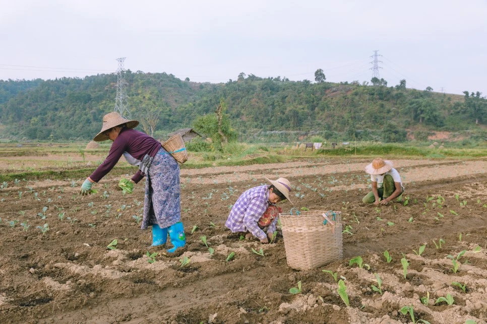 IMG_4224.jpg?type=w966