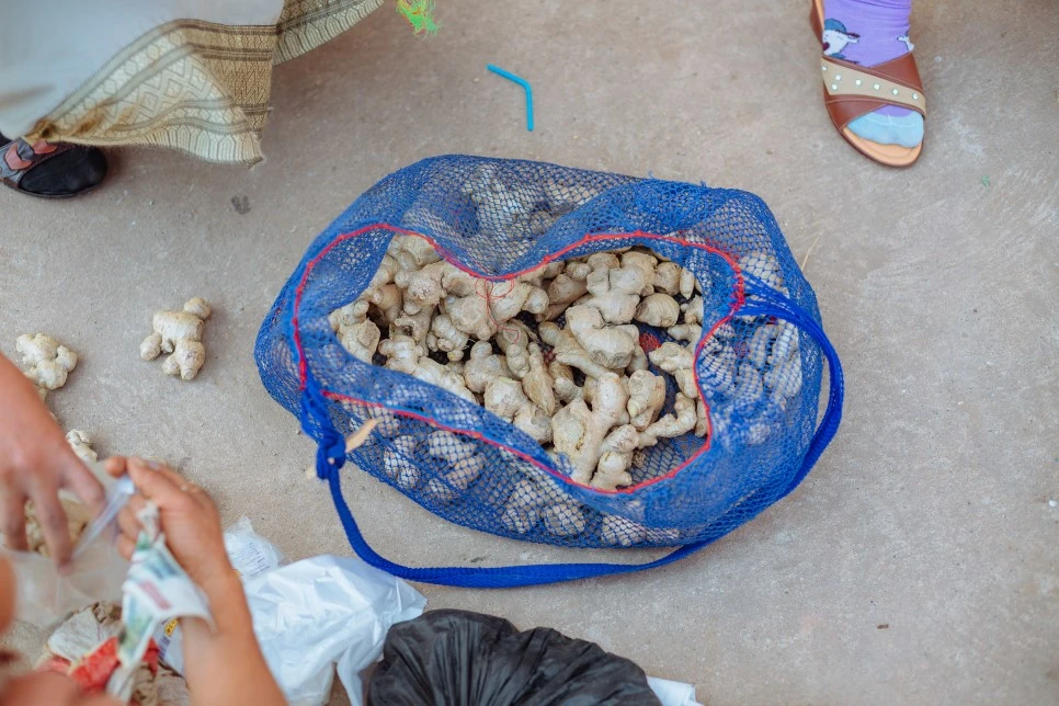 After_school13.jpg?type=w966