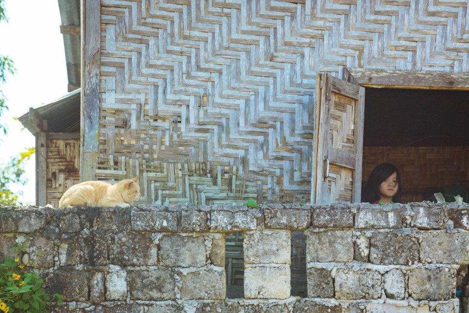 %EB%9D%A0%EB%B3%B4_1.jpg?type=w966