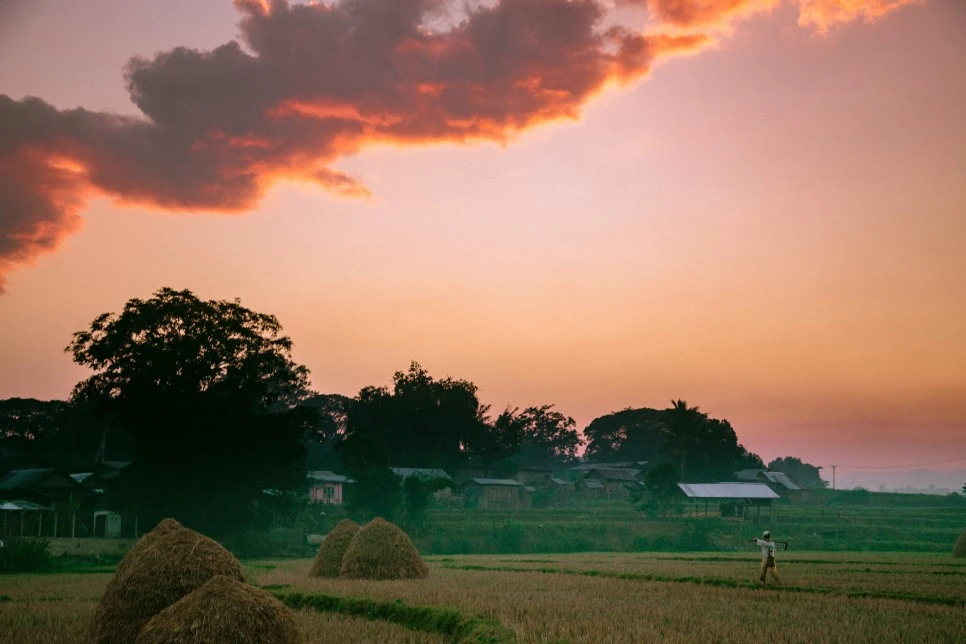 IMG_4998.jpg?type=w966