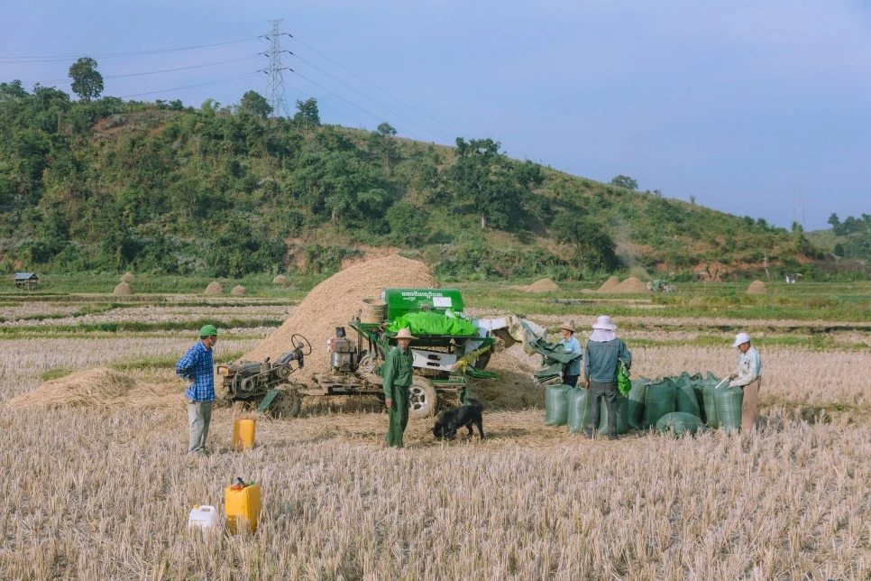 IMG_4199.jpg?type=w966