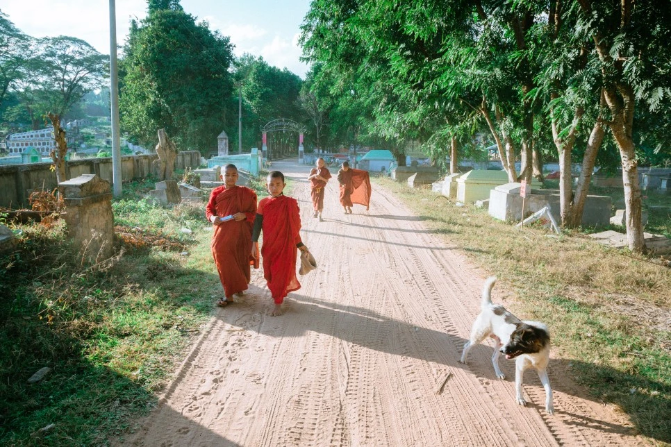 IMG_0916.jpg?type=w966