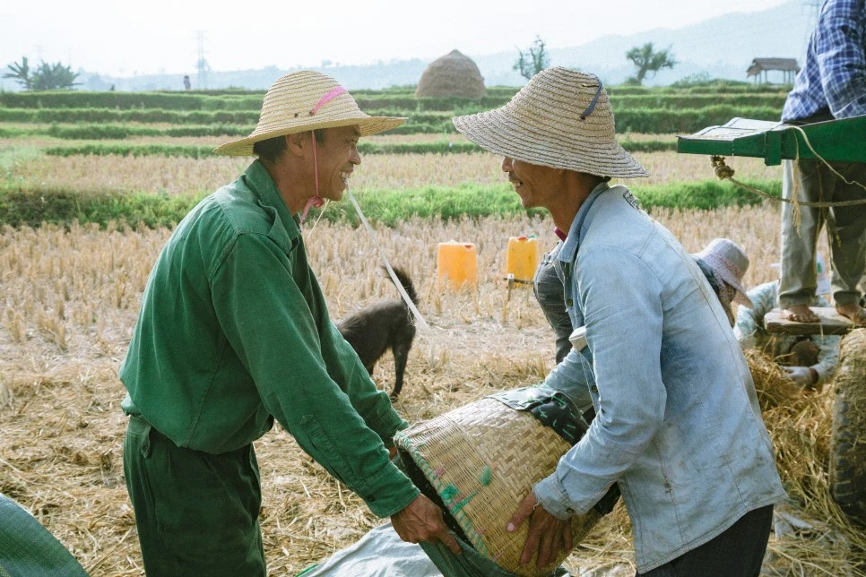 IMG_4146.jpg?type=w966