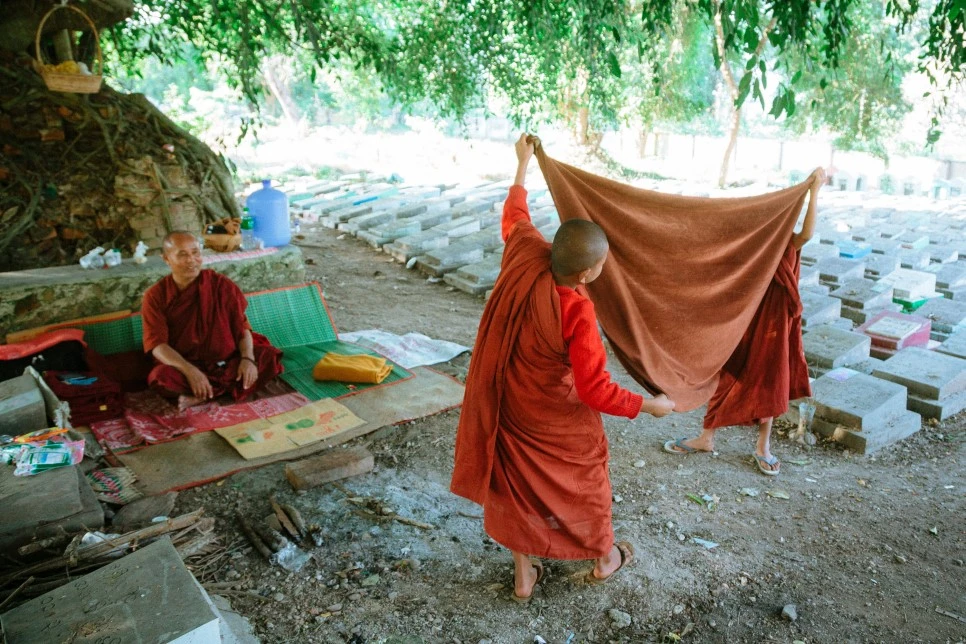 IMG_0974.jpg?type=w966