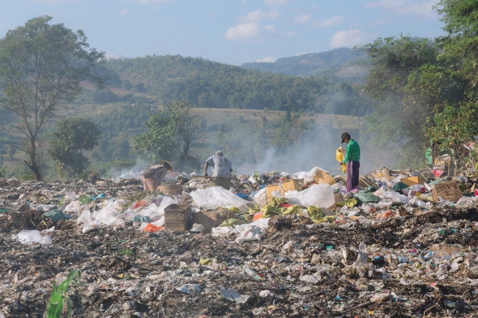 IMG_0831.jpg?type=w966