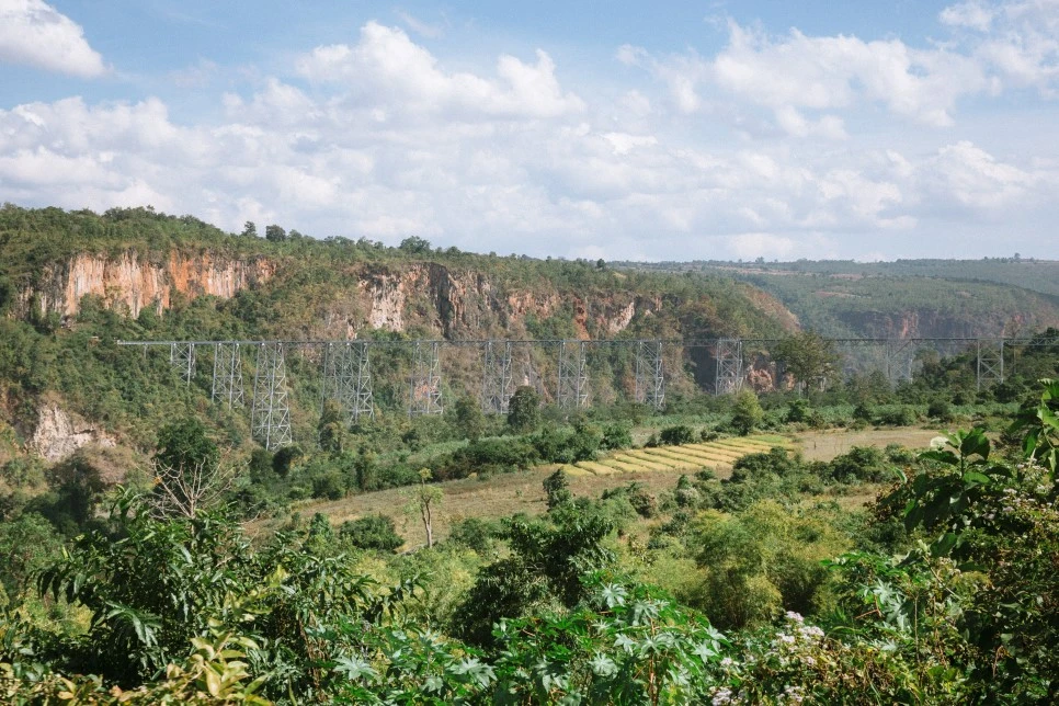 20151229IMG_9974.jpg?type=w966