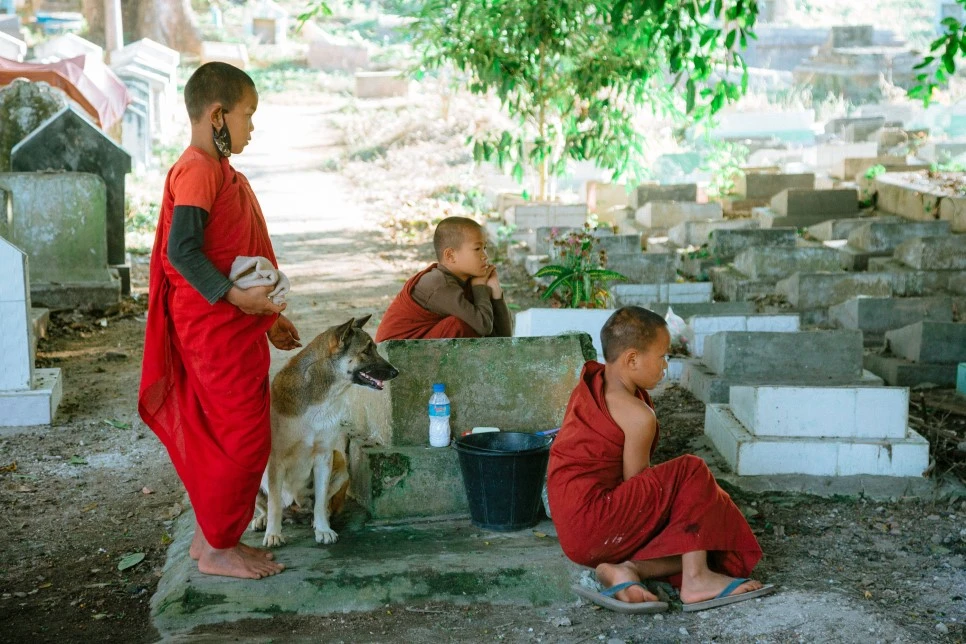 IMG_0966.jpg?type=w966