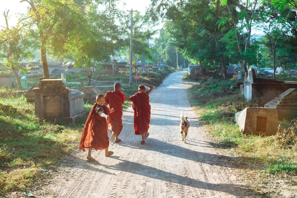 IMG_1002.jpg?type=w966