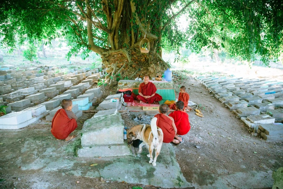 IMG_0963.jpg?type=w966