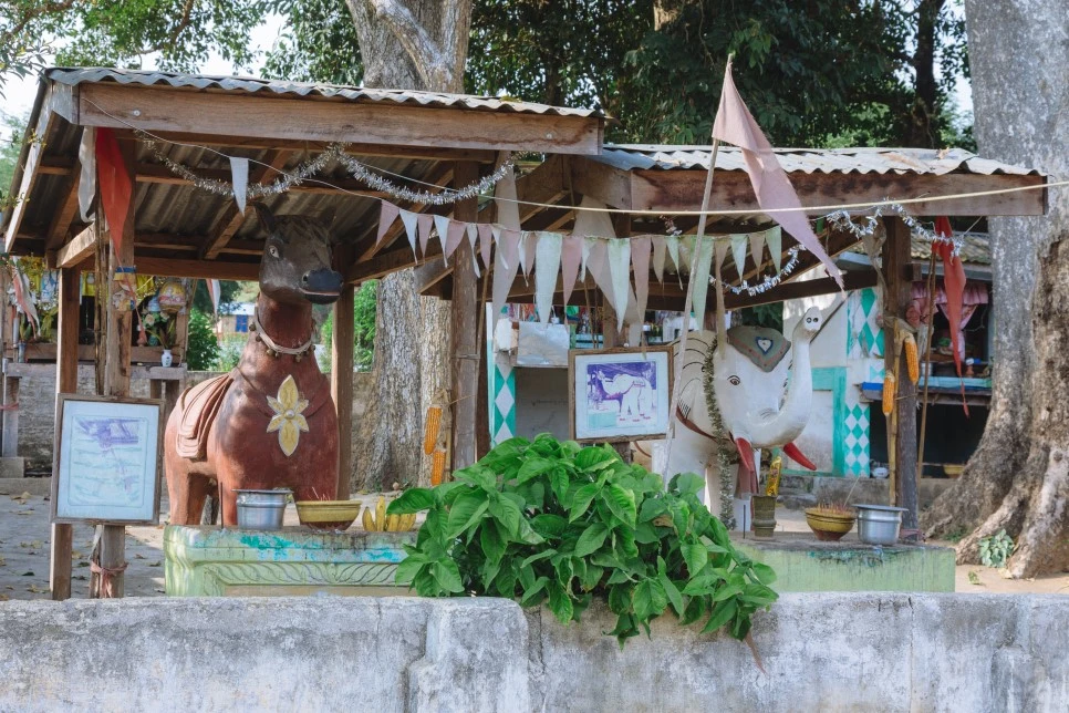 IMG_4068.jpg?type=w966