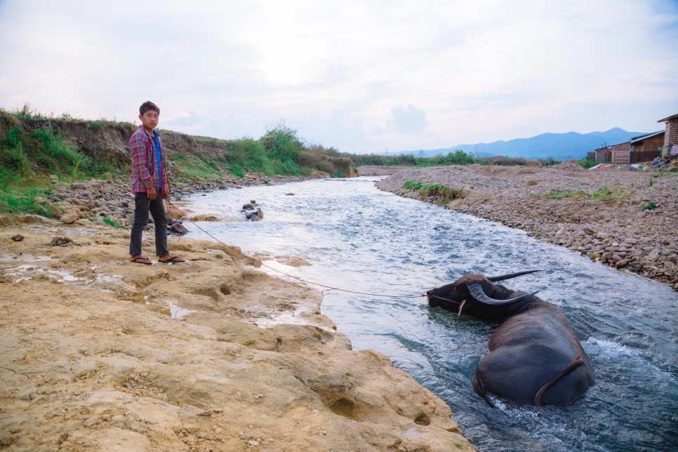 IMG_4445.jpg?type=w966