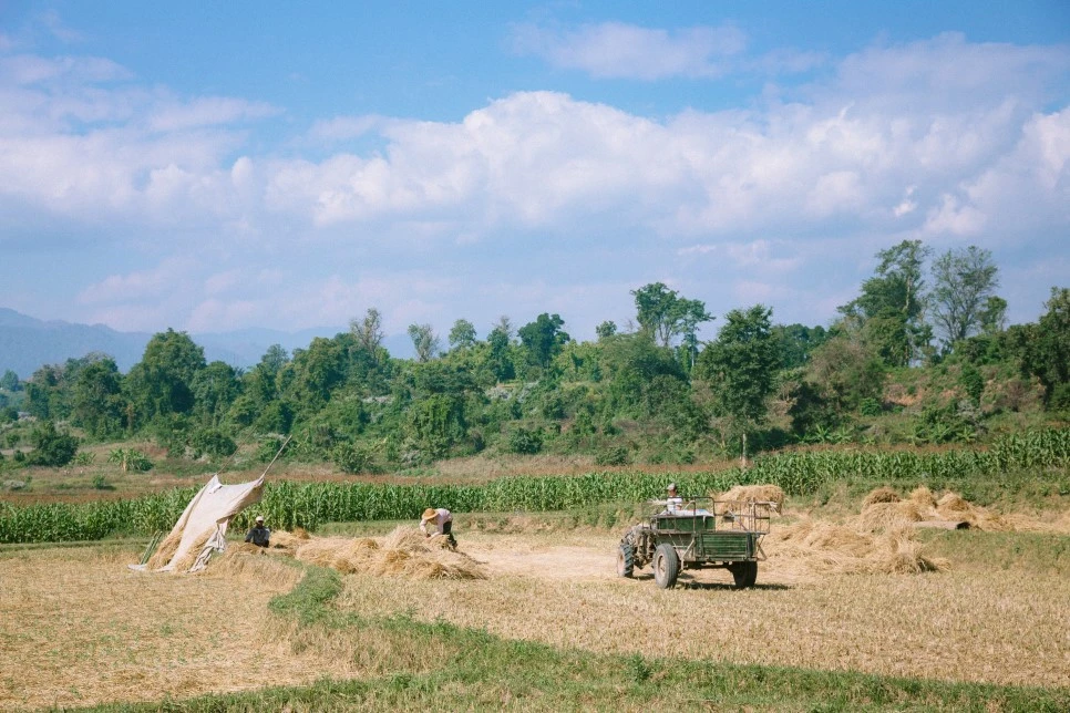 IMG_0635.jpg?type=w966