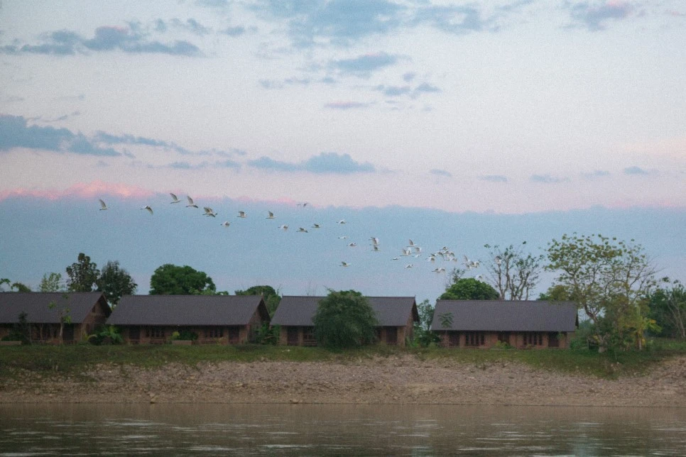 IMG_1218.jpg?type=w966