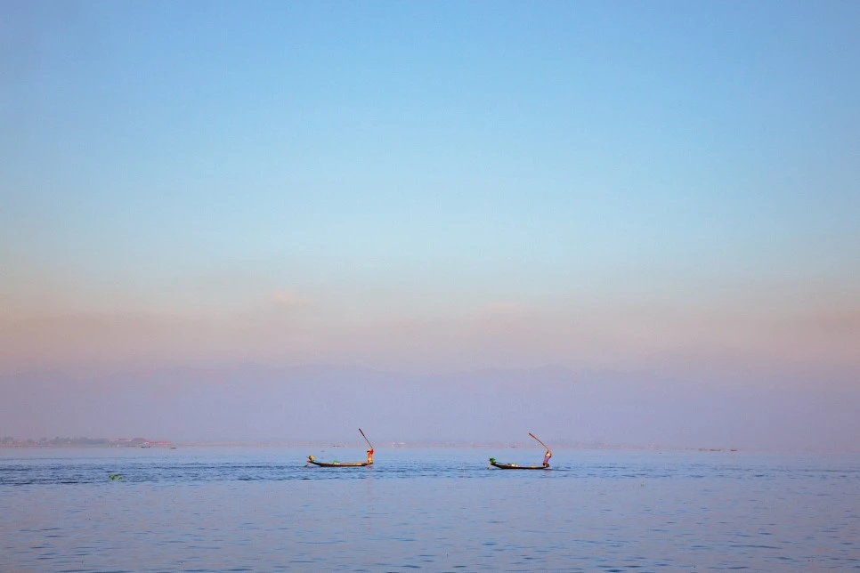 IMG_7390.jpg?type=w966