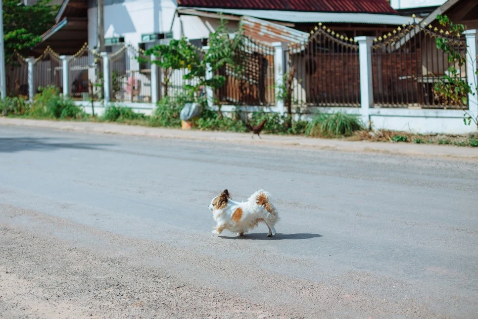 After_school09.jpg?type=w966