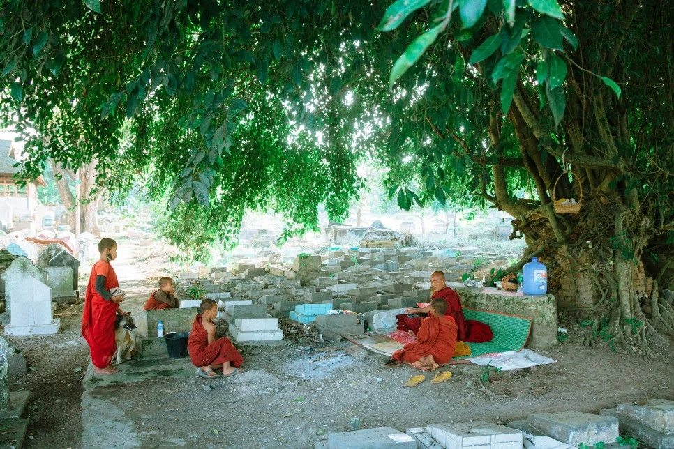 IMG_0965.jpg?type=w966