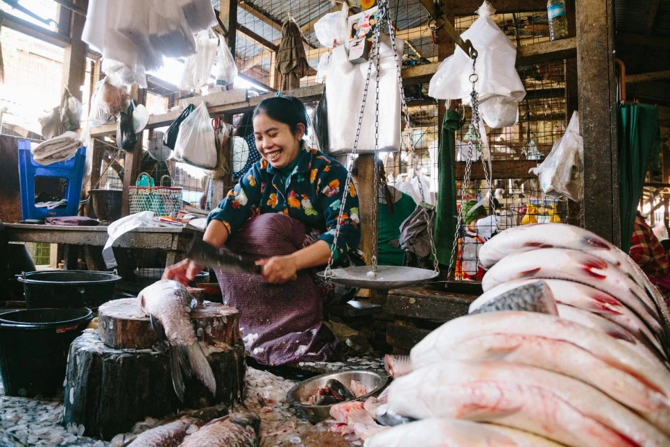 IMG_2309.jpg?type=w966