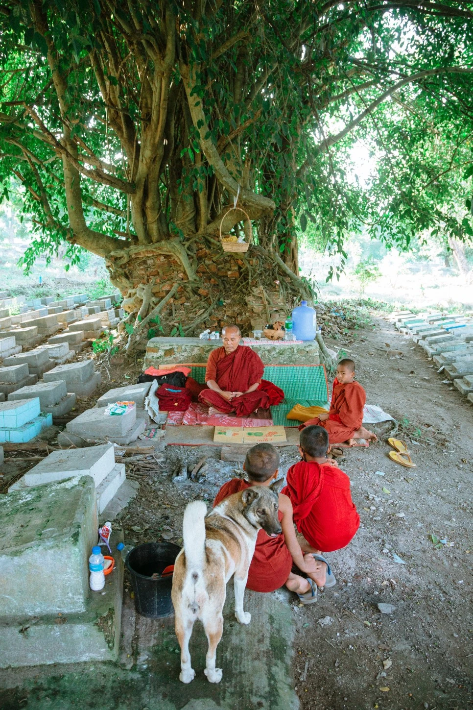 IMG_0960.jpg?type=w966