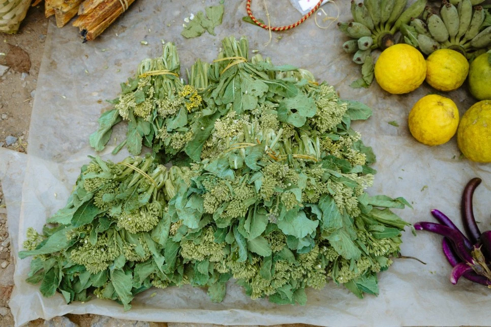 IMG_5102.jpg?type=w966