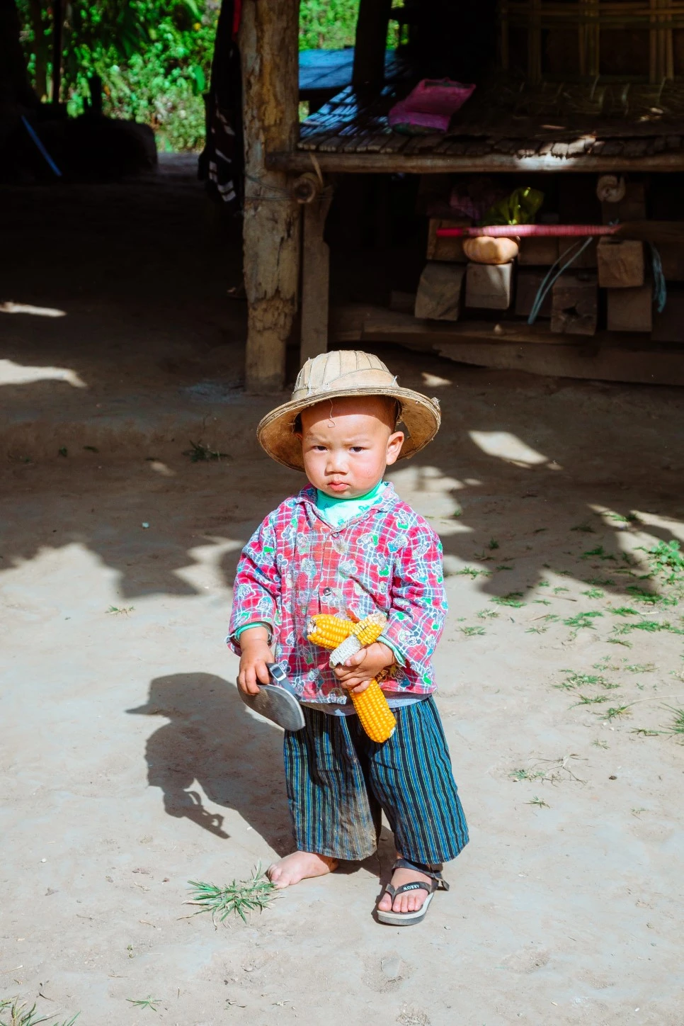 IMG_0746.jpg?type=w966