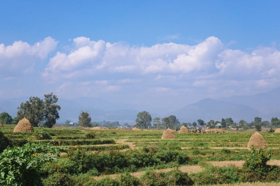 %EB%9D%A0%EB%B3%B4_9.jpg?type=w966