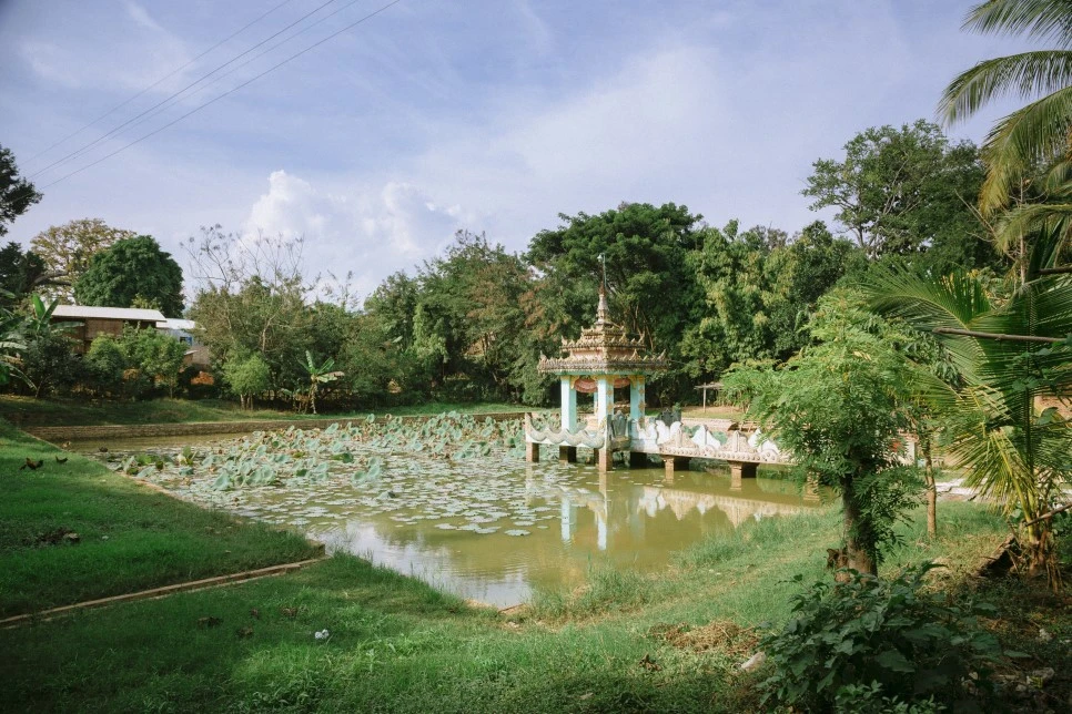 IMG_2472.jpg?type=w966