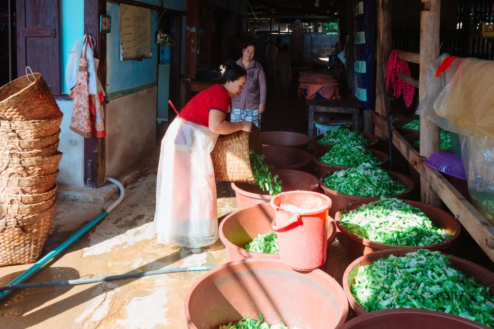 IMG_5584.jpg?type=w966