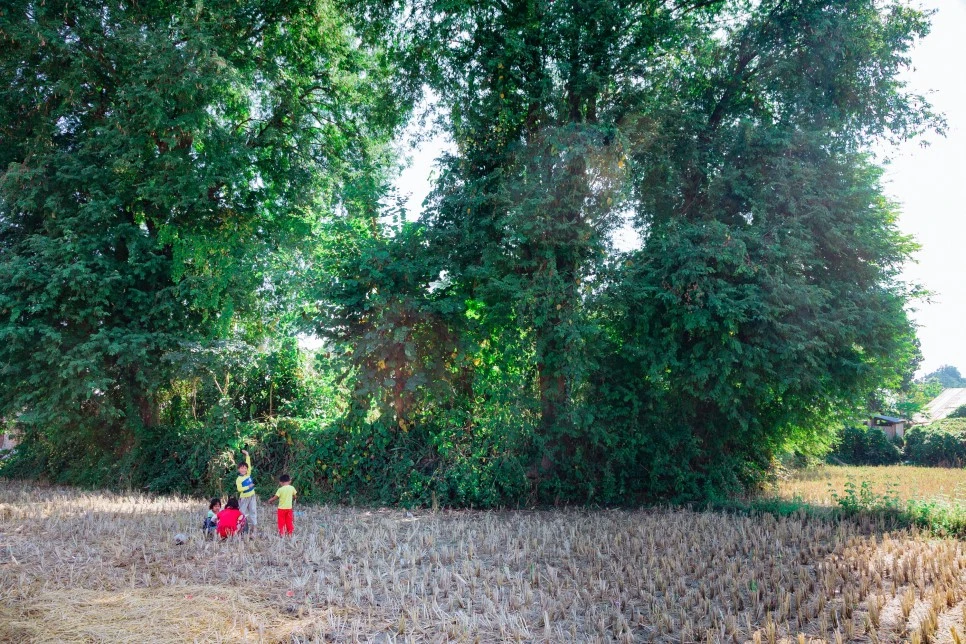 IMG_0545.jpg?type=w966