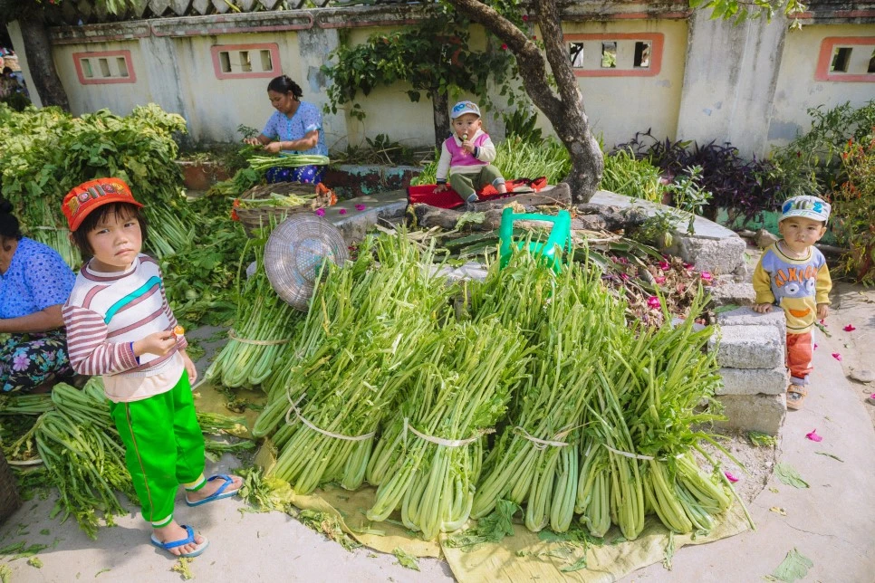 IMG_1686.jpg?type=w966