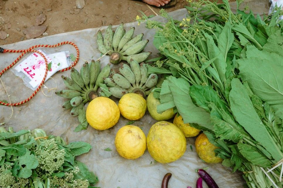 IMG_5101.jpg?type=w966