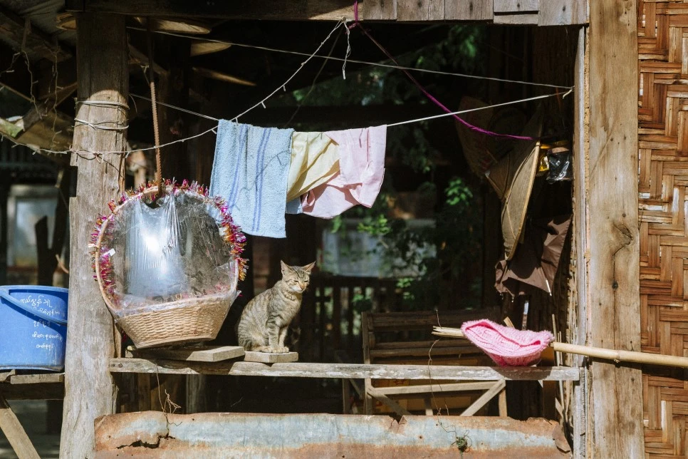 %EB%9D%A0%EB%B3%B4_5.jpg?type=w966